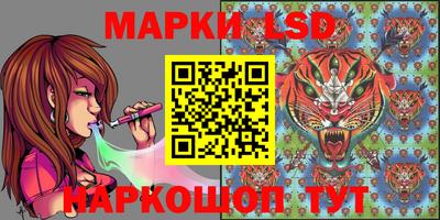 apvp Кингисепп