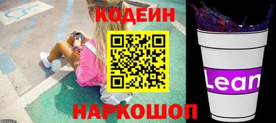 apvp Кингисепп