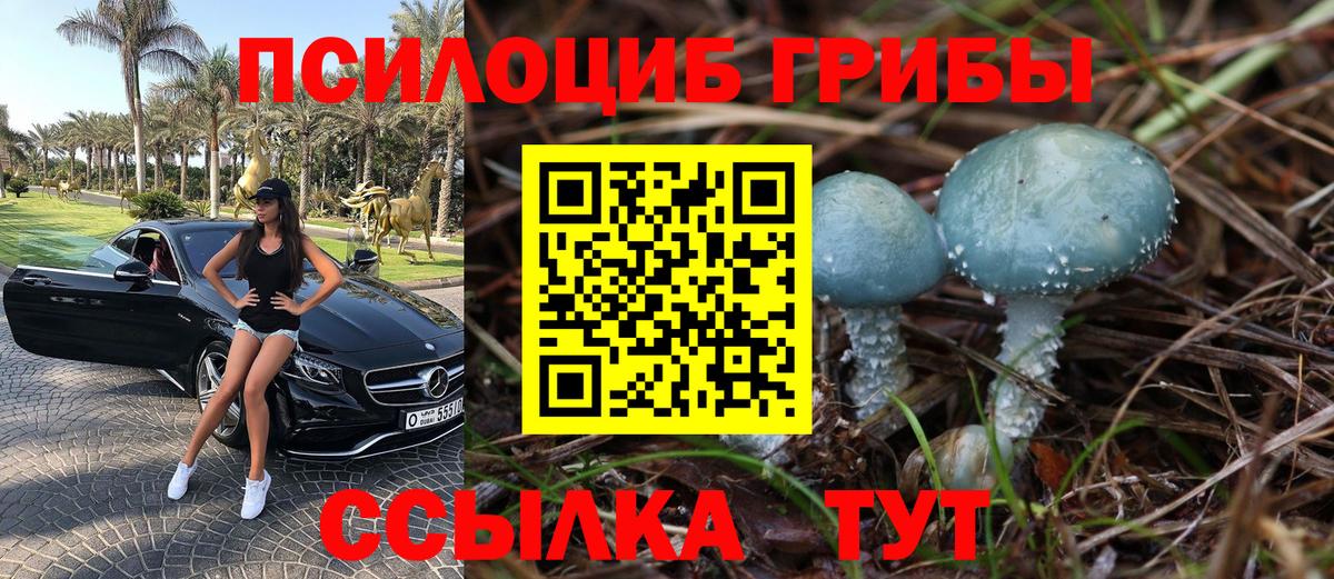 Псилоцибиновые грибы мухоморы  Вход с VPN  Галлюциногенные грибы мицелий  Чебоксары 